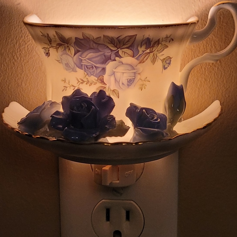 Vintage 1987 Royal Albert moonlight Rose teacup and saucer plug in